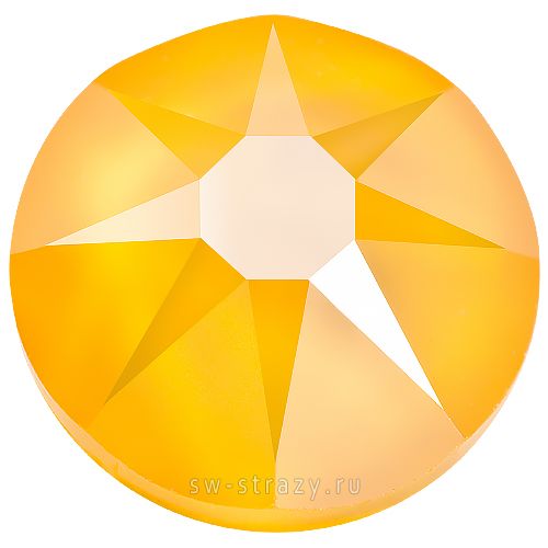 2088 ss 20 Crystal Buttercup F