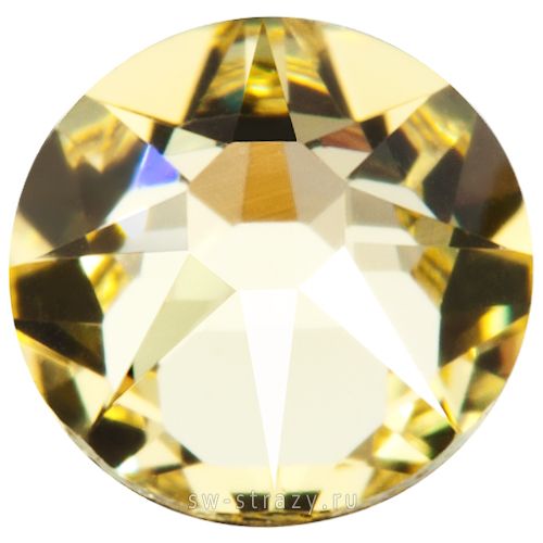 2058 ss 5 Jonquil F